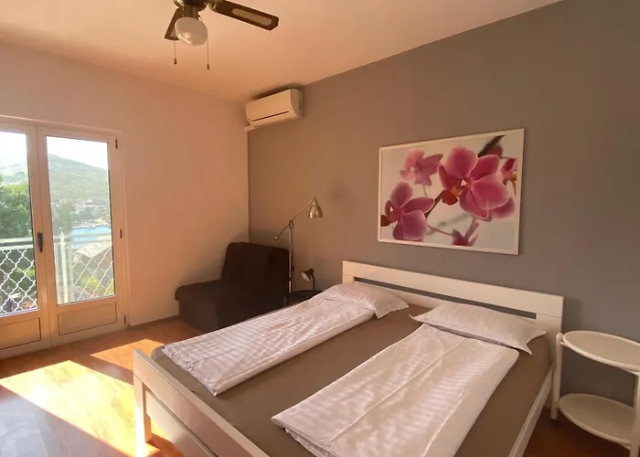 Antonia 扎博里克